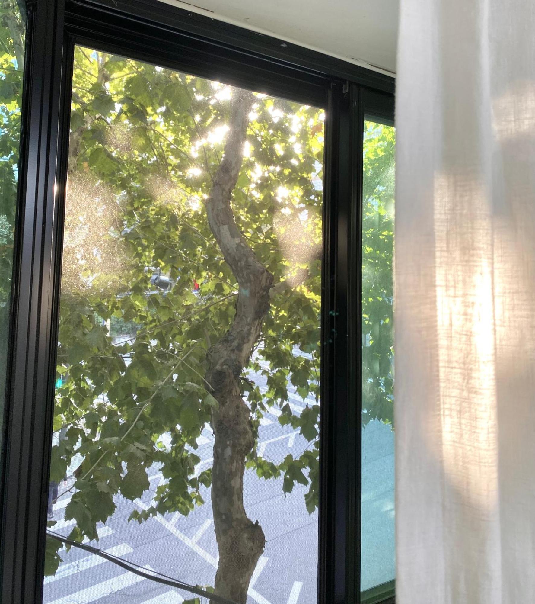 Homestay Amazing Hongdae